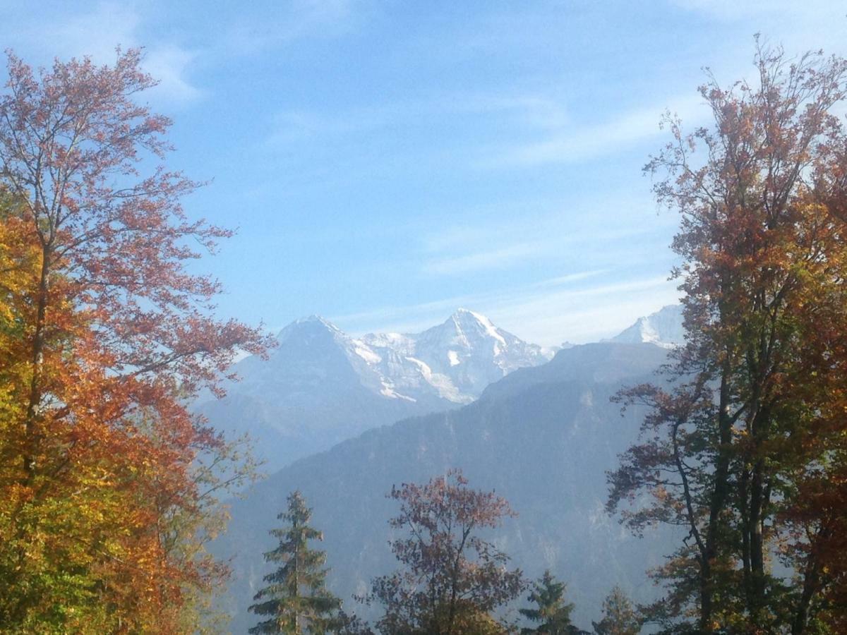 App. Seeblick Of Interlaken Apartment