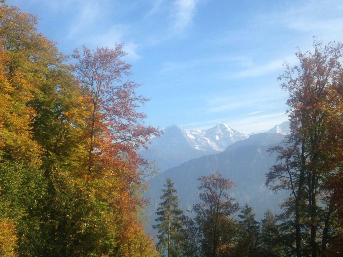 App. Seeblick Of Interlaken Beatenberg