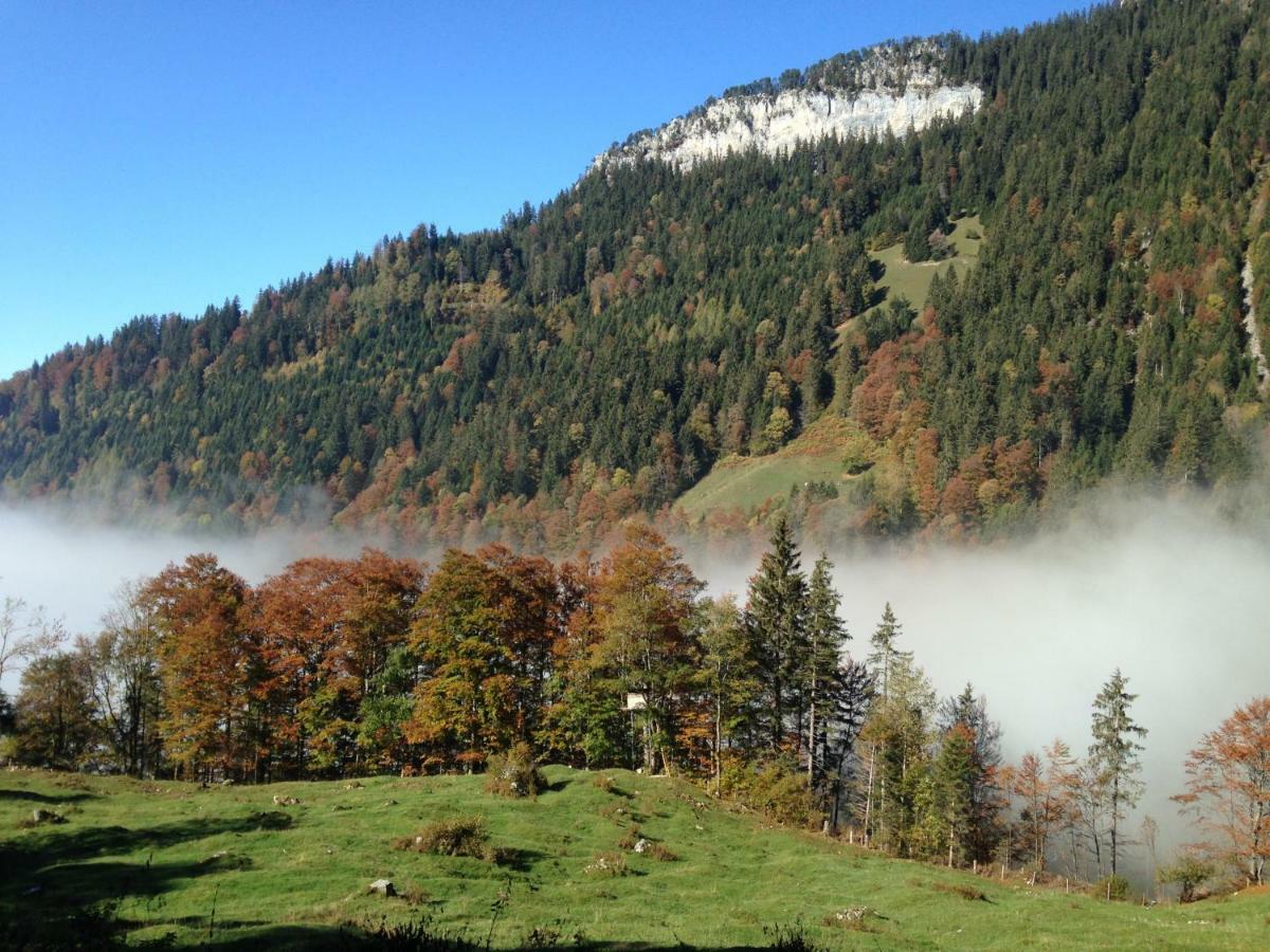 Apartment App. Seeblick Of Interlaken