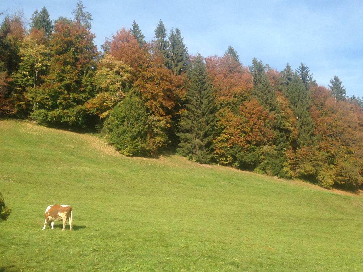 App. Seeblick Of Interlaken