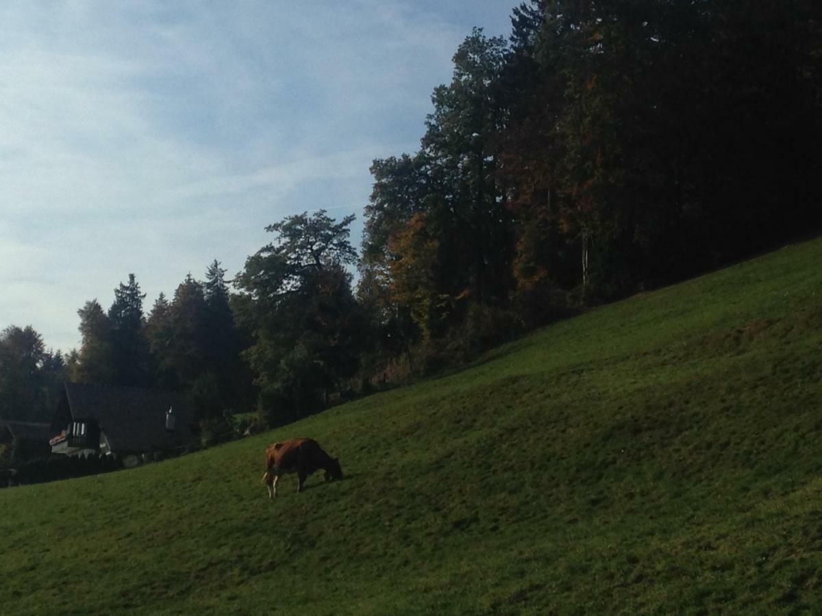 Apartment App. Seeblick Of Interlaken *
